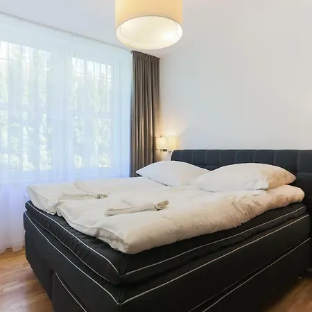 - Rubin Ii 斯维诺乌伊希切